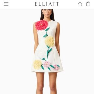 Elliatt buttercup mini dress